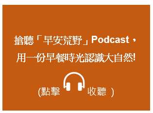 podcast連結.png